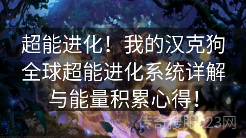 超能进化！我的汉克狗全球超能进化系统详解与能量积累心得！