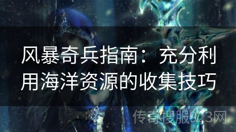 风暴奇兵指南：充分利用海洋资源的收集技巧