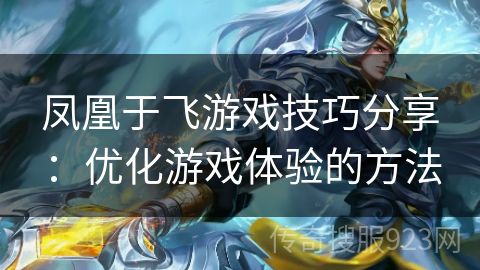 凤凰于飞游戏技巧分享：优化游戏体验的方法