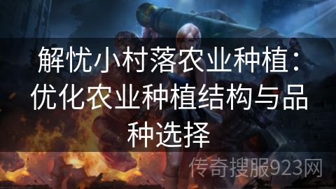 解忧小村落农业种植：优化农业种植结构与品种选择