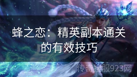 蜂之恋：精英副本通关的有效技巧