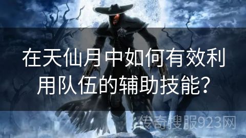 在天仙月中如何有效利用队伍的辅助技能？