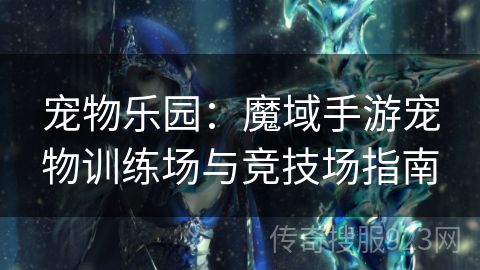 宠物乐园：魔域手游宠物训练场与竞技场指南